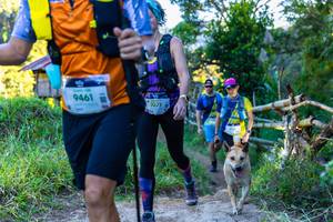 BIB: 9461, 1071
                            <button type="button" onclick="openModal(19041789)" class="btn btn-primary btn-sm float-right btn-popup" data-toggle="modal" data-target=".modal-high-quality">
                        <i class="fas fa-shopping-cart"></i> Add to Cart
                    </button>
                                            <button type="button" onclick="isThisMe(19041789, true)" class="btn btn-success btn-sm float-right btn-popup btn-isme hidden" data-toggle="tooltip" data-placement="bottom" title="นี่คือรูปของคุณใช่ไหม คลิกที่นี่เพื่อเอาเข้าอัลบั้ม">
                        <i class="fas fa-plus"></i> Add to album
                    </button>
                    <button type="button" onclick="isThisMe(19041789, false)" class="btn btn-warning btn-sm float-right btn-popup btn-isnotme hidden">
                        <i class="fas fa-ban"></i> Remove from album
                    </button>